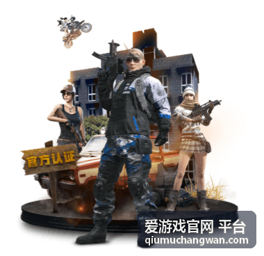爱游戏官网平台联系方式填写与隐私说明示意图