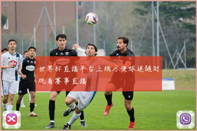 世界杯直播平台上线方便球迷随时观看赛事直播