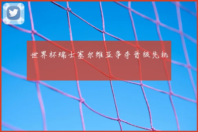 世界杯瑞士塞尔维亚争夺晋级先机