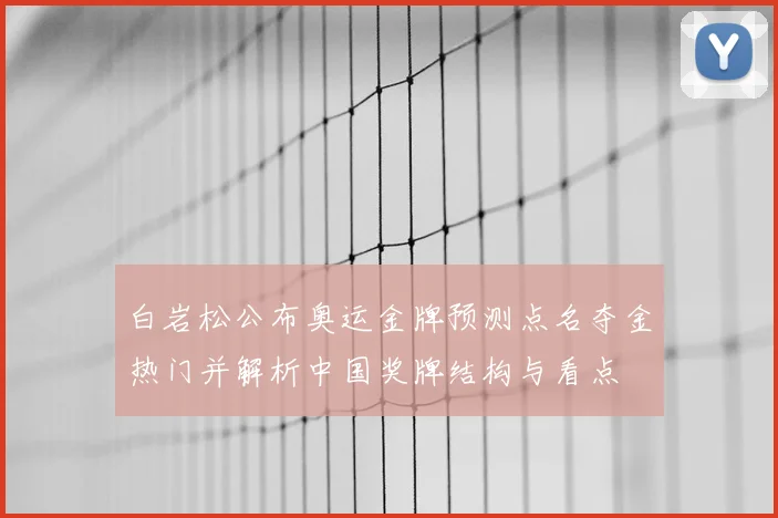 白岩松公布奥运金牌预测点名夺金热门并解析中国奖牌结构与看点